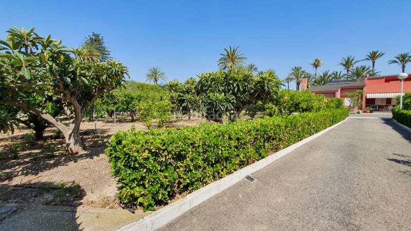 Foto 9e170447-161c-44ba-8f38-d9a09775d97a. Xalet amb calefacció aparcament piscina a Alzabares Elche / Elx