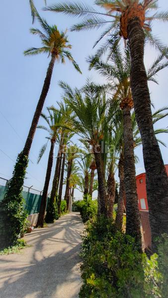 Foto fad6c1f7-4baa-4e5f-a0e6-18696d11618e. Xalet amb calefacció aparcament piscina a Alzabares Elche / Elx