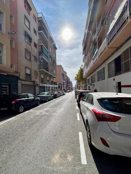 Foto 19cedbed-dde9-4b6b-9ab4-f533707e2e29. Pis a Reina Victoria - Miguel Hernández Elche / Elx