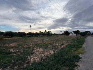 Propriété à Perleta - Maitino. Venta de 4 parcelas en perleta, elche alicante