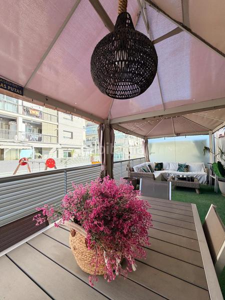 Foto 94bce469-1537-459a-b757-676dda8aa35e. Rez-de-chaussée dans calle cantallops 7 dans Nou Altabix Elche / Elx