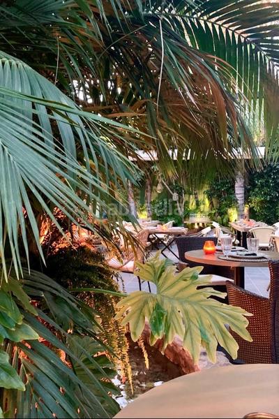 Foto fc138a9d-5184-4d87-816a-8c02a1161825. Alquiler local comercial traspaso restaurante Valverde, elche en Elche / Elx