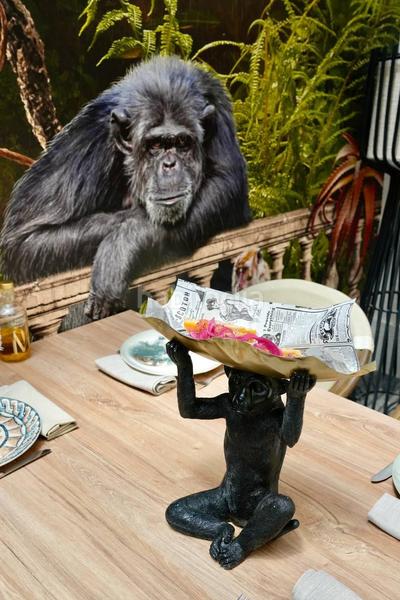 Foto 46947ab3-1c96-497c-89ae-d52dce8b445d. Location local commercial dans Valverde Elche / Elx