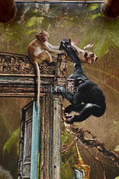 Foto 14e0c7d1-8d1b-47a8-a56b-4ceda6f3d646. Miete geschäftsraum in Valverde Elche / Elx