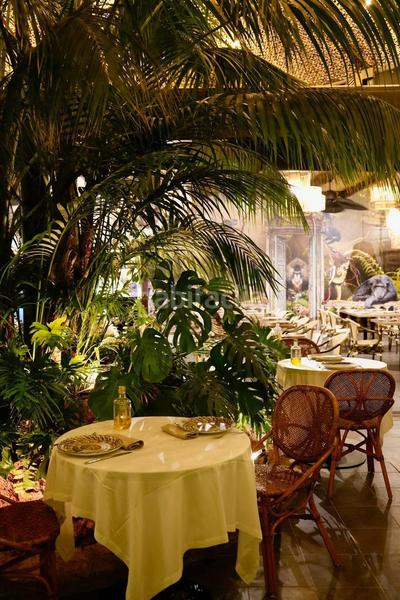 Foto 11b24e4e-846f-4b53-8b68-d7db0c4ce226. Rent business premise in Valverde Elche / Elx