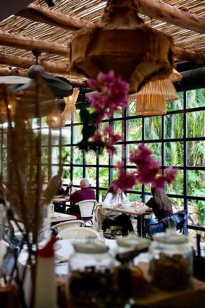 Foto 3c12a692-39ed-4d86-b3a7-35eecd2f71e8. Affitto locale commerciale in Valverde Elche / Elx