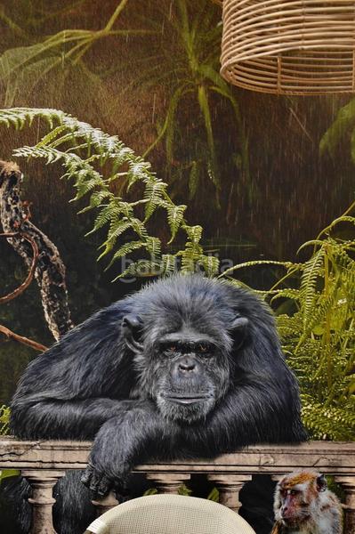 Foto 27d30bc1-3d42-4620-b5cd-ec05a77cfb07. Location local commercial dans Valverde Elche / Elx