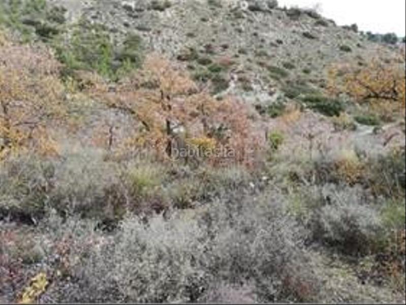 Foto 8f28bcd2-fb5c-4e5e-a9c6-829fcc137a78. Terrain résidentiel dans El Robledal Villalbilla