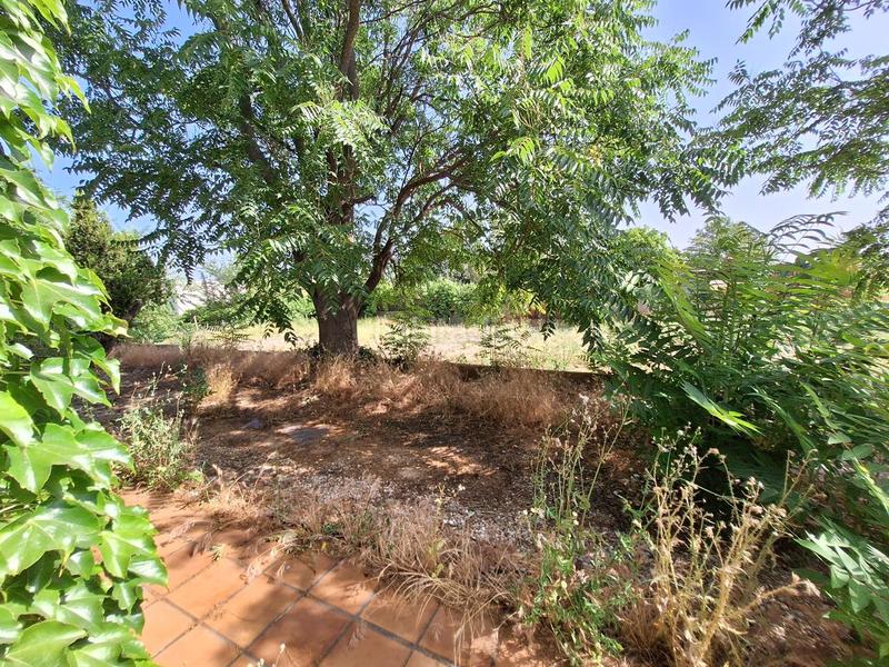 Foto a5ca8ef0-545b-4b44-9b7f-0943dac0a141. Casa a Prado Norte Algete