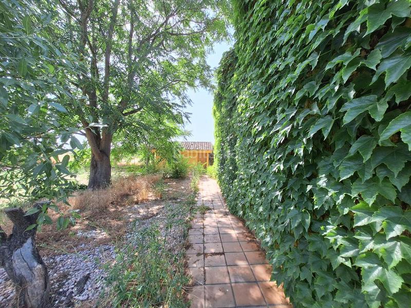 Foto cdd73af6-d1d5-42f5-b241-94852a0bbf24. Haus in Prado Norte Algete