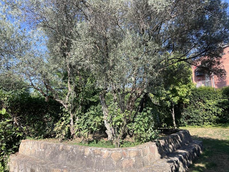 Foto ae171ca2-65bd-45e2-9dd6-50621e0a9f99. Haus mit heizung pool in Quijorna