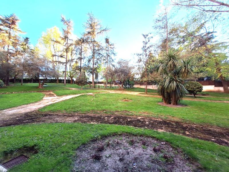 Foto ba2daf11-1ed5-4d34-8de0-7565e9dd8745. Pis amb aparcament piscina a Palomas Madrid