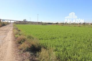 Finca rústica a Crevillente. Parcela rústica en venta en crevillente alicante