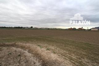 Masia a Catral. Se vende parcela rústica en catral alicante