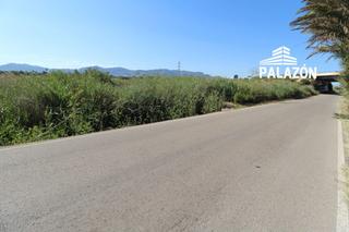 Finca rústica a San Isidro. Finca rústica en venta en crevillente alicante