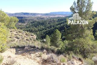 Finca rústica a Letur. Finca de caza en venta en letur albacete
