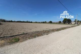 Propriété à Catral. Parcela rústica en venta en crevillente alicante