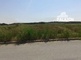 Finca rústica a Crevillente. Parcela rústica en venta en crevillente alicante