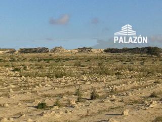 Finca rústica a La Marina. Parcela rústica en venta en la marina  elche alicante
