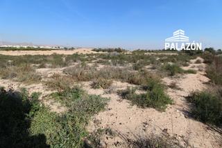 Finca rústica a Crevillente. Finca rústica en venta en crevillente alicante