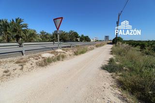 Finca rústica a Crevillente. Finca rústica en venta en crevillente alicante