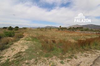 Finca rústica a Albatera. Parcela rústica en venta en albatera alicante