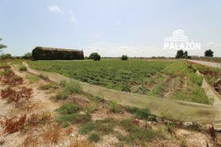 Propriété à Catral. Parcela rústica en venta en catral alicante