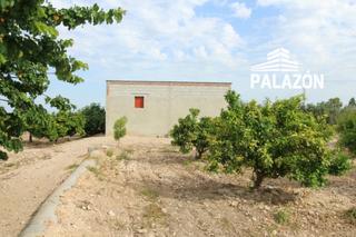 Finca rústica a Crevillente. Finca de cultivo en venta, en crevillente alicante