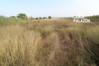 Propriété à Catral. Finca rústica en venta en catral alicante