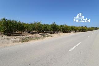 Finca rústica a Albatera. Parcela rústica en venta en albatera alicante