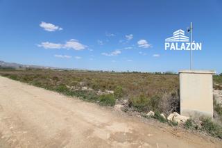 Finca rústica a Albatera. Finca de cultivo en venta en crevillente alicante