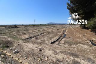 Finca rústica a Crevillente. Finca de cultivo en venta en crevillente alicante