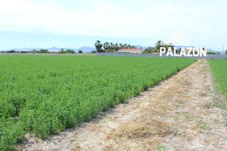 Propriété à Catral. Parcela rustica en venta en catral alicante