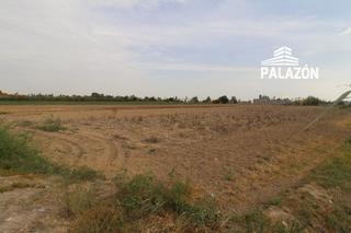 Propriété à Catral. Finca rústica en venta en catral alicante