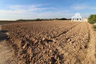 Finca rústica a Crevillente. Finca de cultivo en venta en crevillente alicante