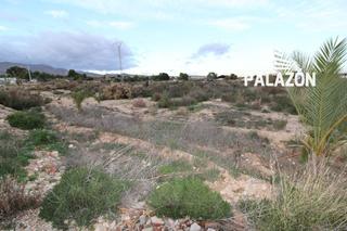 Finca rústica a Crevillente. Finca rústica en venta en crevillente alicante