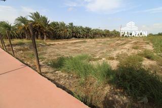 Propriété à Catral. Parcela rústica en venta en catral alicante