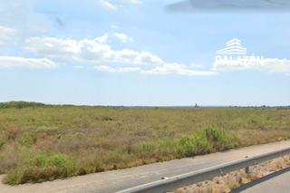 Finca rústica a Crevillente. Finca de cultivo en venta en crevillente alicante
