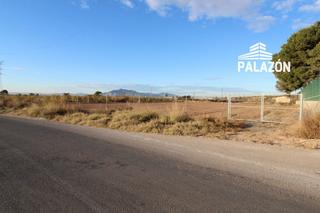 Finca rústica a Crevillente. Finca rústica en venta en crevillente alicante