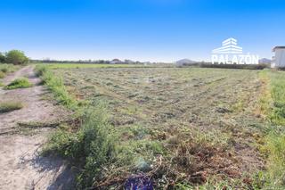 Finca rústica a Dolores. Terreno en venta en dolores alicante