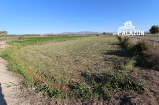 Finca rústica a Dolores. Parcela rústica en venta en dolores alicante