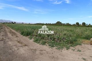 Finca rústica a Crevillente. Finca rústica en venta en catral alicante, cerca de san isidro