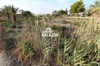 Propriété à Catral. Finca rústica en venta en catral alicante