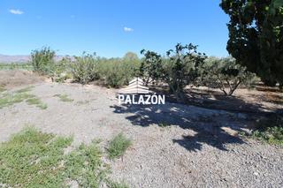Finca rústica a San Isidro. Finca de cultivo en venta en san isidro alicante