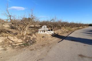 Location Propriété à Albatera. Finca de cultivo en alquiler en albatera alicante