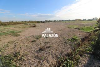 Propriété à Catral. Finca rústica en venta en catral alicante