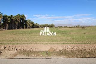 Propriété à Catral. Finca rústica en catral alicante de 10.000 m
