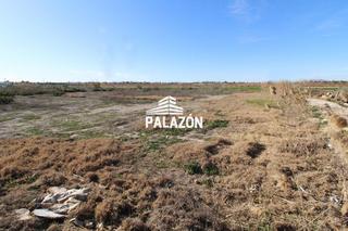 Propriété à Catral. Finca rústica en venta en catral alicante