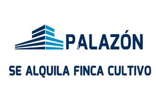 Location Propriété à Crevillente. Finca de cultivo en alquiler en crevillente alicante