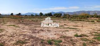 Finca rústica a Crevillente. Finca rústica en venta en crevillente alicante